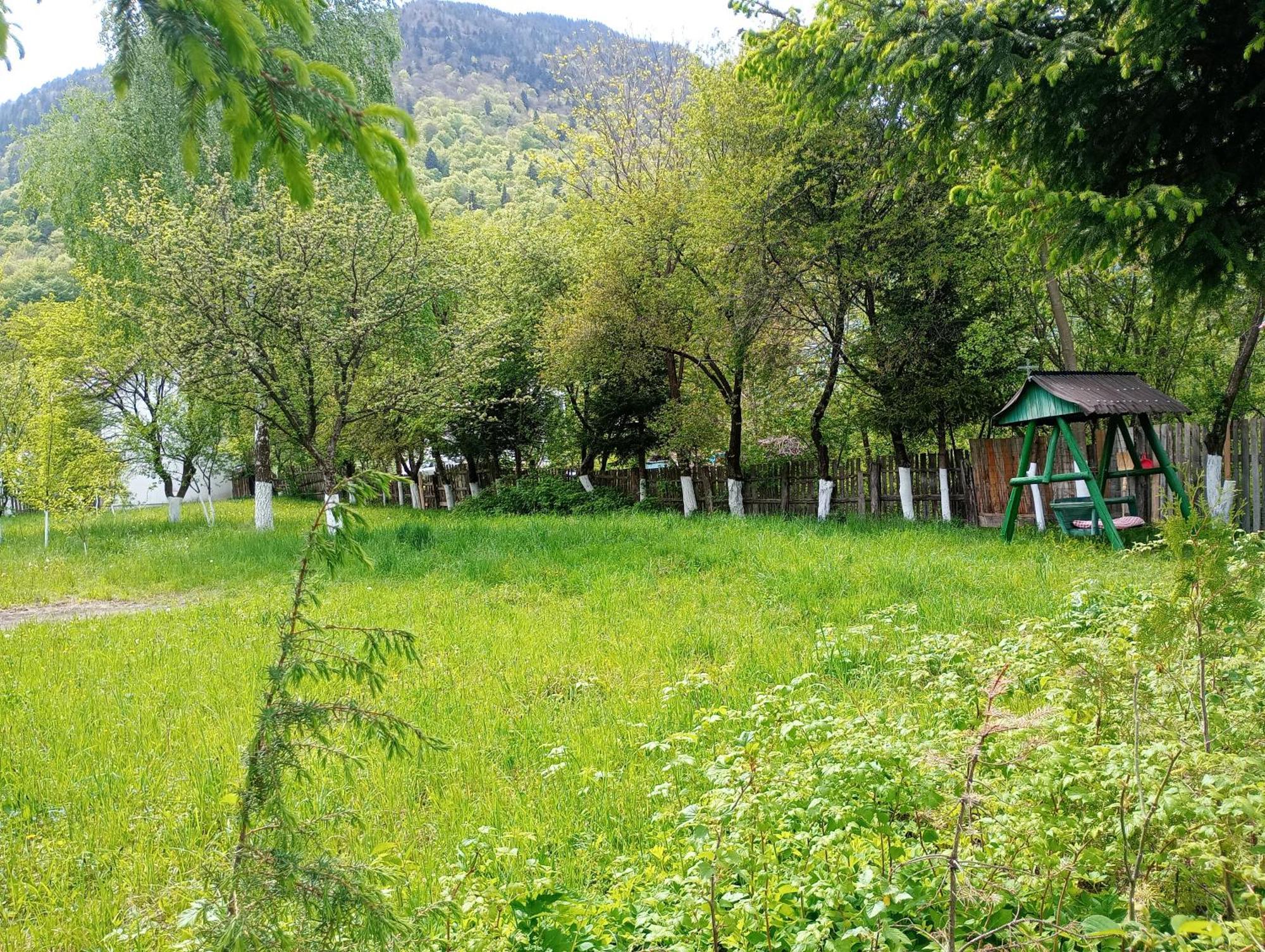 Pensiunea Irina 1 Si 2 Zarnesti Exterior photo