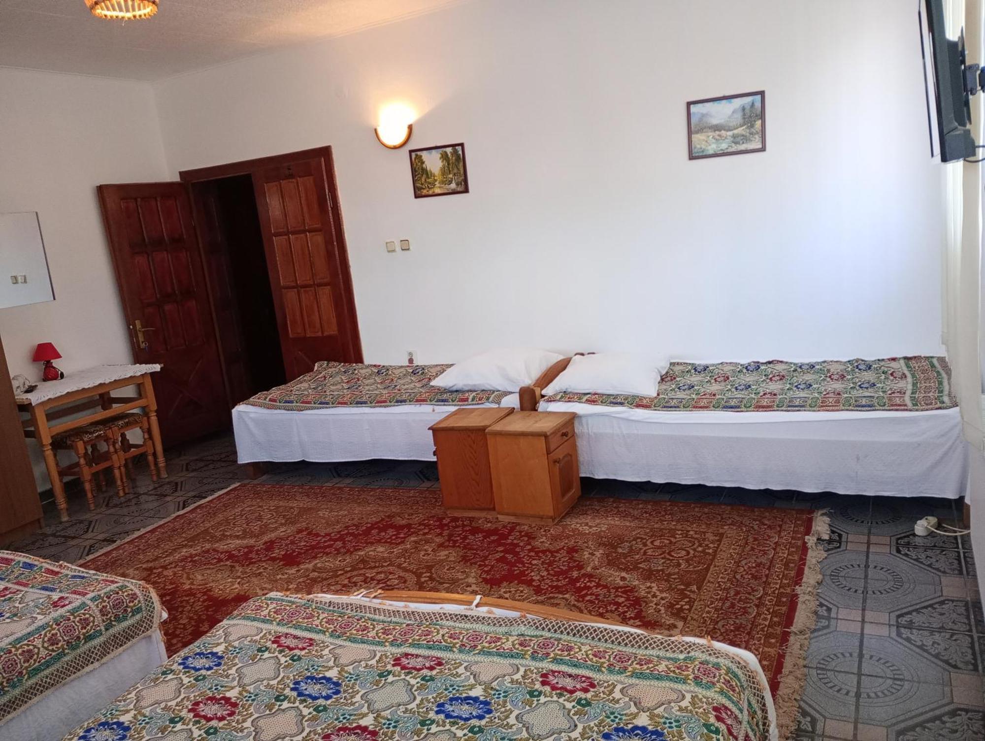 Pensiunea Irina 1 Si 2 Zarnesti Exterior photo