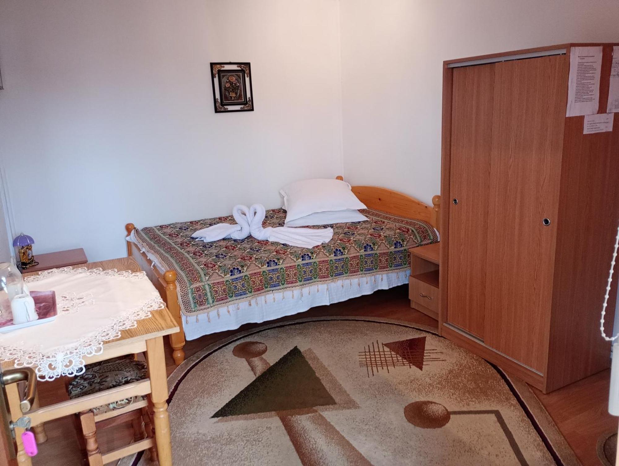Pensiunea Irina 1 Si 2 Zarnesti Exterior photo