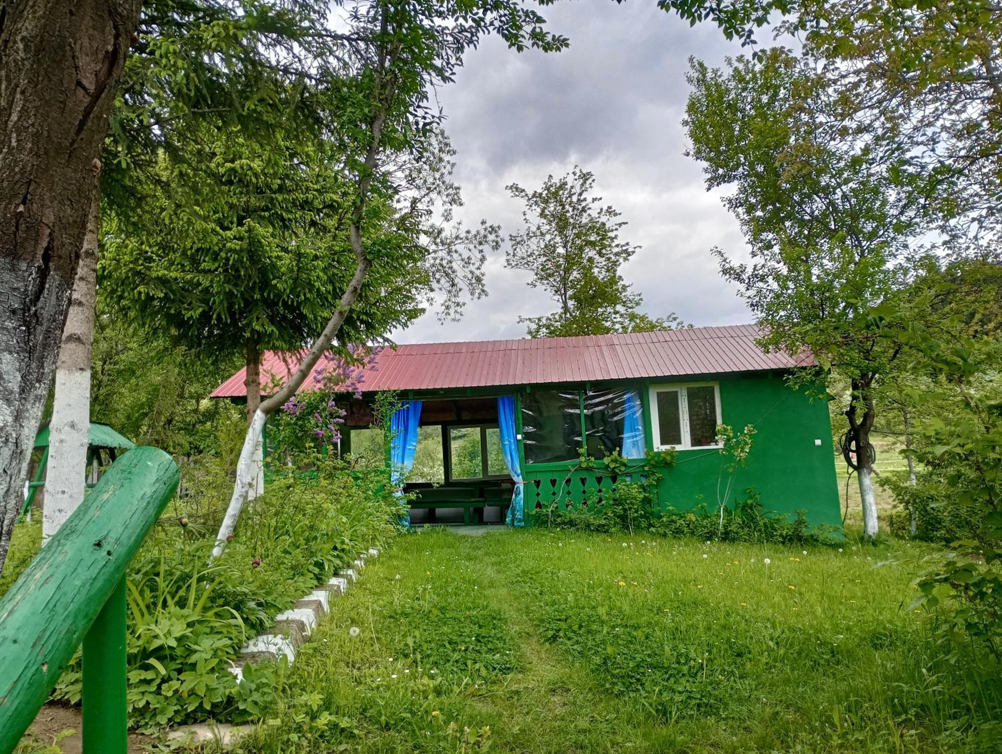 Pensiunea Irina 1 Si 2 Zarnesti Exterior photo