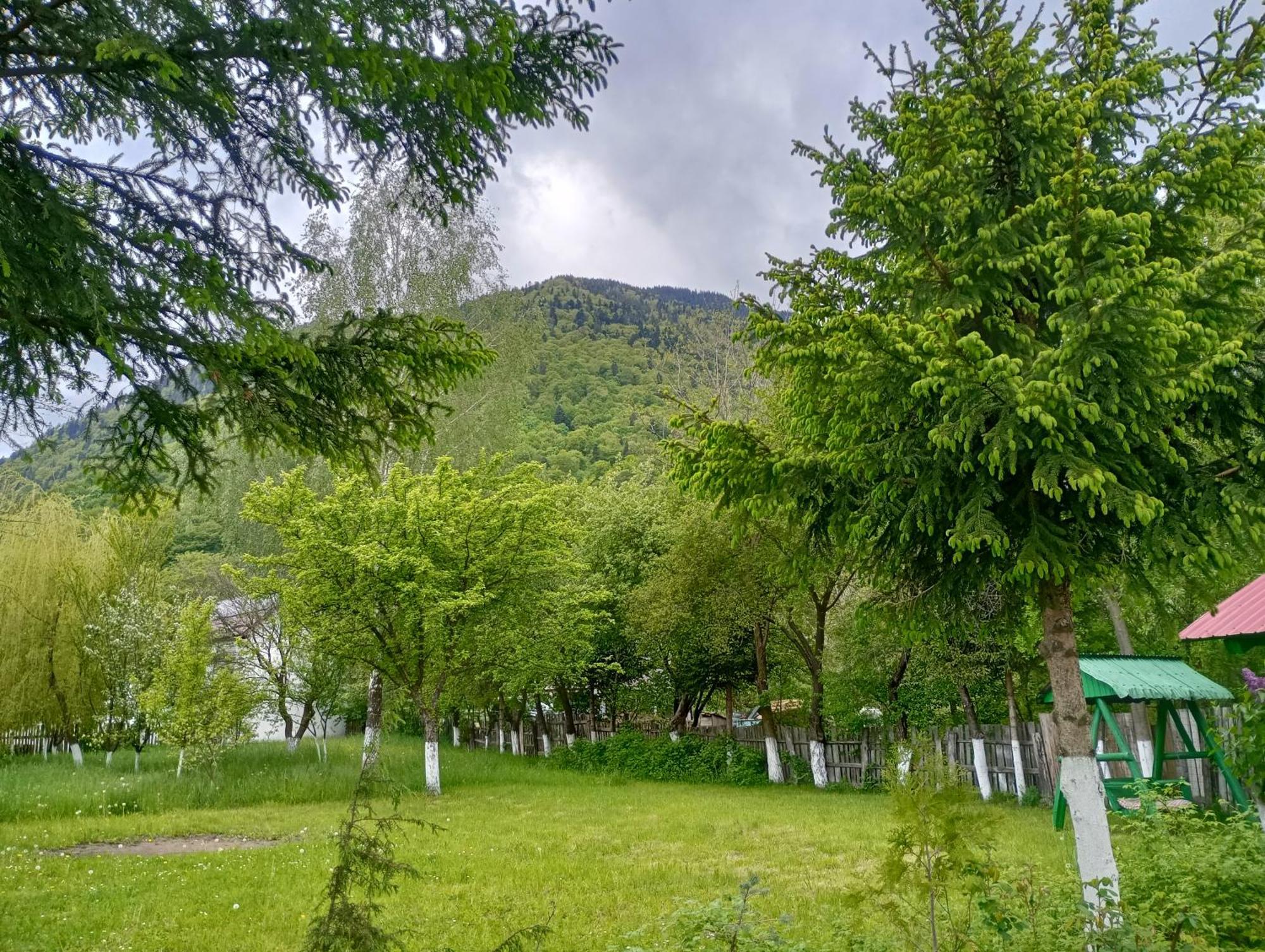 Pensiunea Irina 1 Si 2 Zarnesti Exterior photo